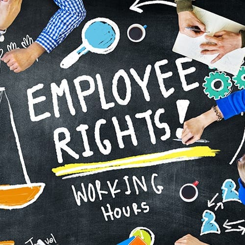 The Employment Corner